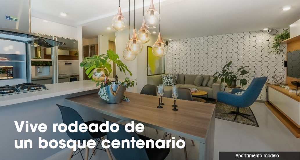 2-Mesa de trabajo 58 copia 16-28 (1)