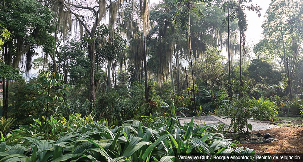 2-zonas comunes ariza (4)